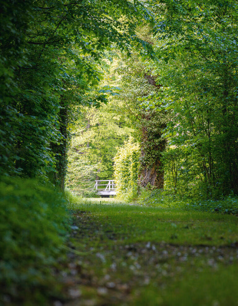 Grasbewachsener Pfad durch dichte grüne Bäume, der zur kleinen weißen Fußgängerbrücke von Schloss Hovestadt führt.