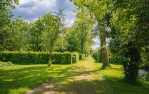 Unter einem teilweise bewölkten Himmel schlängelt sich ein von Bäumen gesäumter Weg durch den grünen Park von Schloss Hovestadt.
